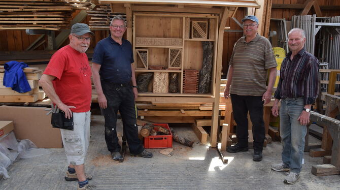 Helmut Pflumm (von links), Günter Letz, Herbert Bader und Willy Rein stehen vor ihrem selbstgebauten Bienenhotel. FOTO: SAPOTNIK