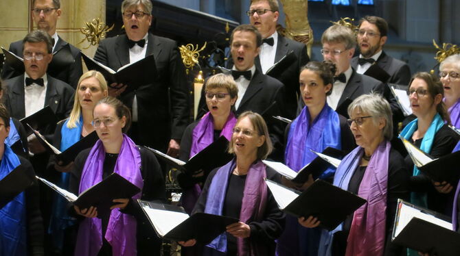 Betörende Klänge zum Thema Ruhe: Der Maulbronner Kammerchor bei seinem Auftritt in der Amanduskirche.  FOTO: KNAUER