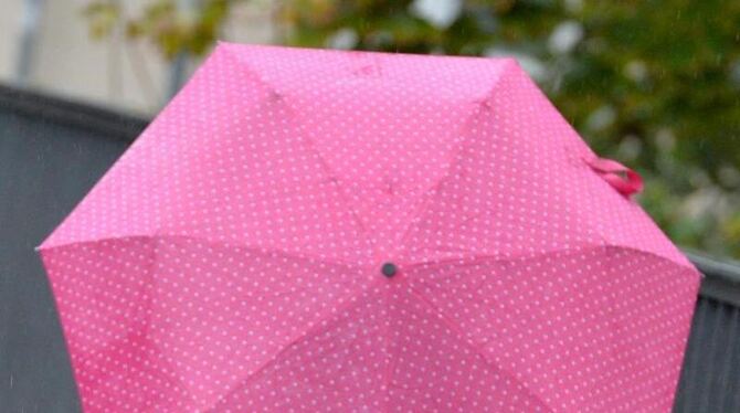 Kind mit einem Regenschirm