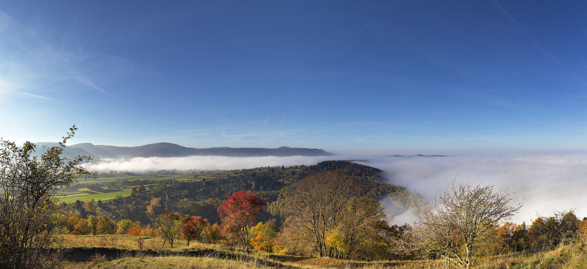 2541_georgenberg_10-16