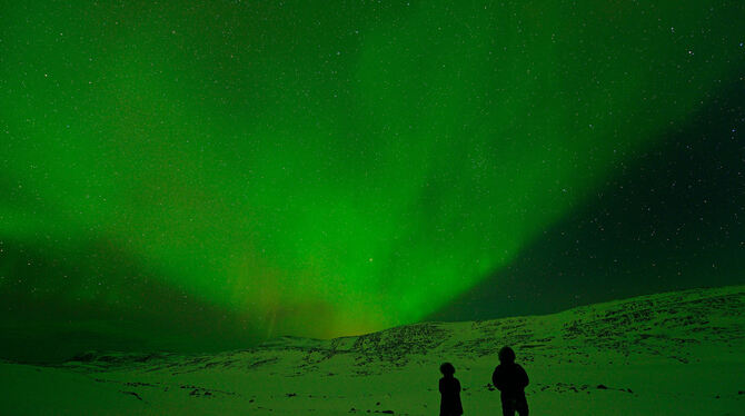 Im Naturkundemuseum präsentieren die Fotografen selbst die Ausstellung »Lys – Eine Hommage an das Licht des Nordens«.  FOTO: MUS