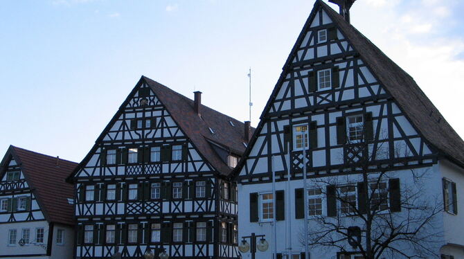 Stellenbeschreibungen und Überleitung zum TVöD: Manche Mitarbeiter in den Pfullinger Rathäusern erhalten jetzt mehr Geld.