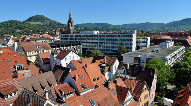 Am Sonntag, 26. Mai, ist Europa- und Kommunalwahl. Dann können 88 000 Reutlinger Wahlberechtigte auch über die neue Zusammensetz