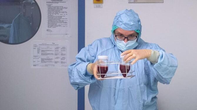 Eine Mitarbeiterin hält Transplantate in den Händen