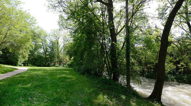 Die naturnahe Umgestaltung des Goosgartens ist ein weiterer Baustein im Hochwasserschutzkonzept für Betzingen.   FOTO: PIETH