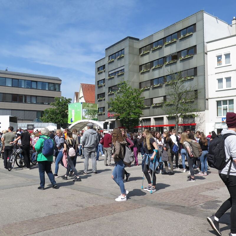 fridays_for_futer_24052019_krauth_5