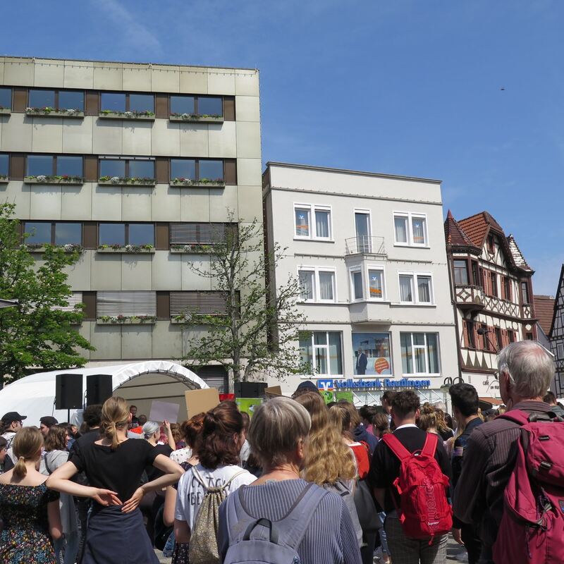 fridays_for_futer_24052019_krauth_9