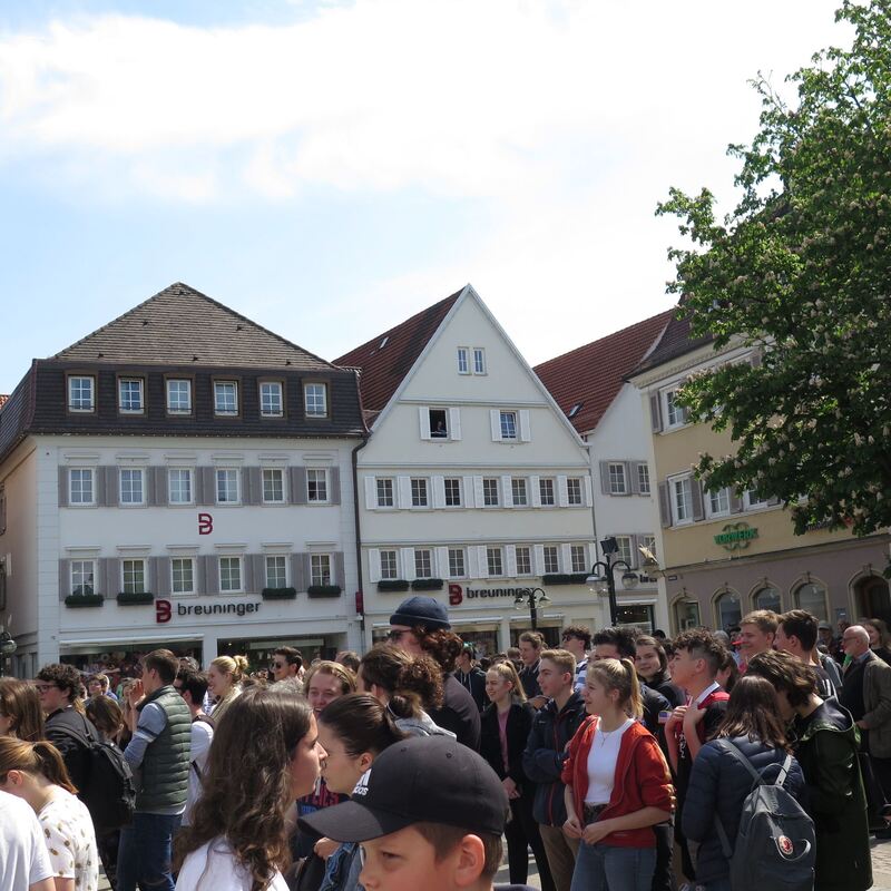 fridays_for_futer_24052019_krauth_10