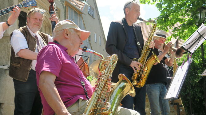 Werner Bystrich and Friends jazzen im Heimatmuseumsgarten.  FOTOS: KNAUER