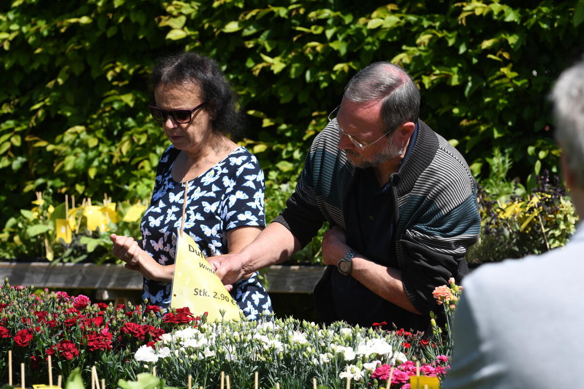 gardenlife_galerie_2019_zenke_14