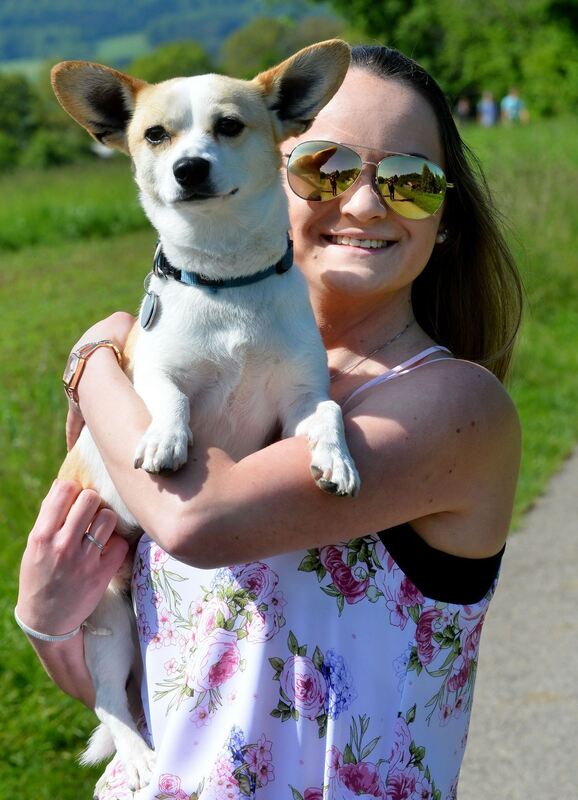 stadt-3105-12wandertag-niethammer