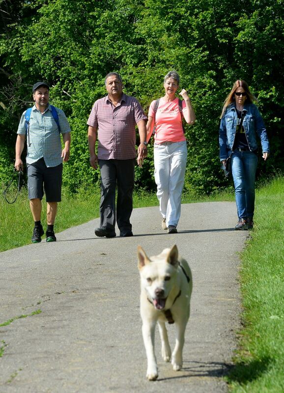 stadt-3105-16wandertag-niethammer