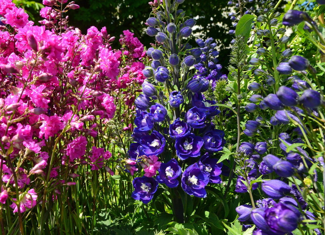 stadt-3105-29garden life-niethammer