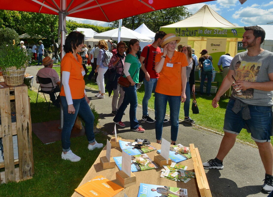 stadt-3105-49garden life-niethammer