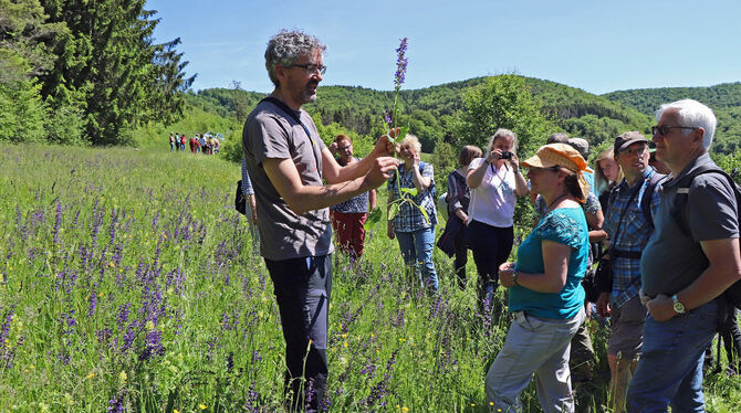 Blumenwiesenfest des Albvereins: Dr. Matthias Stoll erklärte, was der Wiesensalbei über den Boden verrät. FOTO: BLOCHING