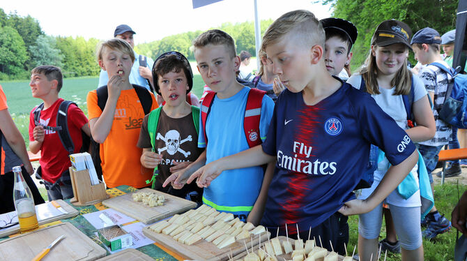 Nachhaltigkeitstag: Schwörer-Azubis organisieren für Schulklassen eine Natur-Rallye.  FOTO: BLOCHING