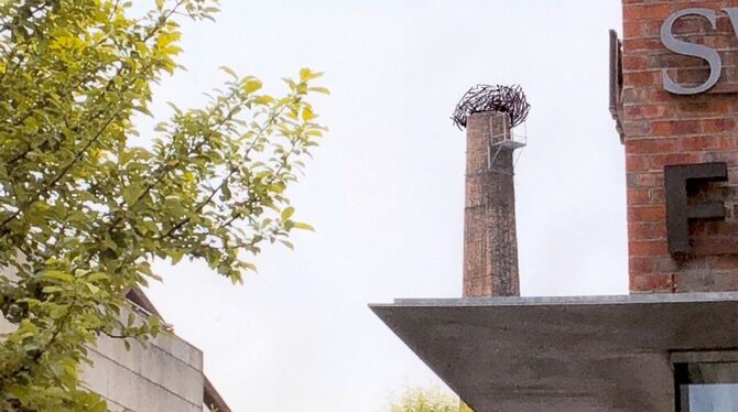 Der japanische Bildhauer und Fotograf Tadashi Kawamata installiert in Metzingen – ähnlich wie es die Fotomontage zeigt – Vogelne