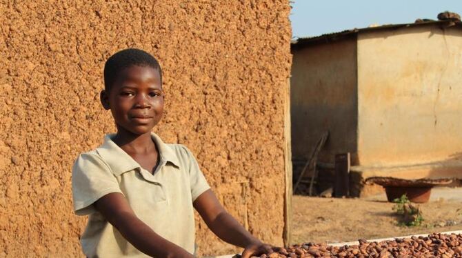 Kakaoanbau in Westafrika