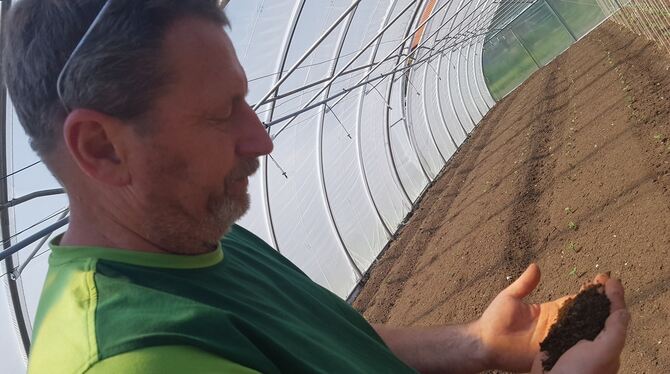 Auf den Krautländern im Sonnenbühler Ortsteil Willmandingen gibt es guten Boden für den Gemüseanbau. Bioland-Bauer Andreas Werne