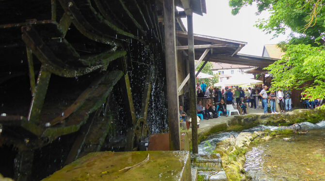 Richtig viel los war beim Mühlentag bei der Trost-Mühle in Bempflingen. Ein idyllischer Ort mit großer und jahrhundertealter Ges