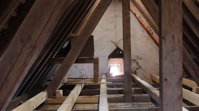 Die Larven des Hausbockkäfers wurden beim Ausbau des Dachbodens eingeschleppt. Sie haben auch in der Unterkonstruktion Spuren hi
