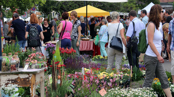 160 Aussteller zeigen ihre Blumen und Kunst beim Rosenmarkt mit Kunstgalerie. FOTO: STADT MÖSSINGEN