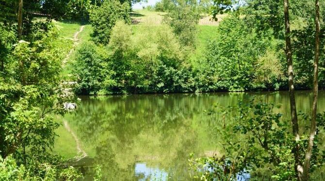 Einer der drei Bürgerseen in Kirchheim unter Teck