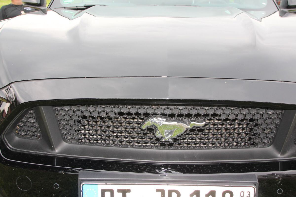 us-cars_engstingen_leippert_22-06-19_40