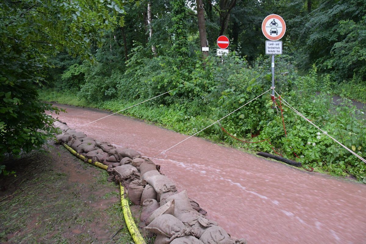 hochwasser hornbach_tue_meyer_22-06-19_11