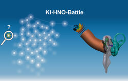 Die entwickelte Software unterstützt die Analyse von Daten aus dem menschlichen Ohr und soll in der medizinischen HNO-Diagnostik