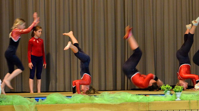 Akrobatisch ging es bei den Turnerinnen des TuS Honau zu