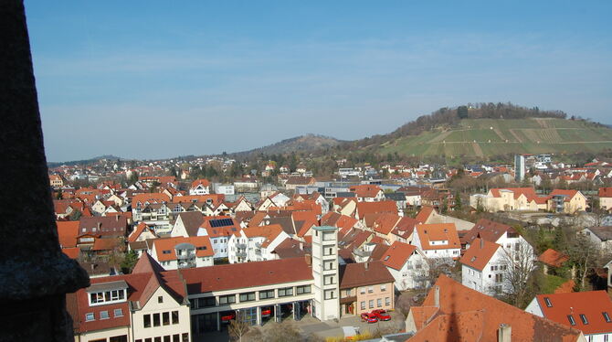 Blick von der Martinskirche auf die Feuerwache und den Metzinger Weinberg. FOTO: PFISTERER
