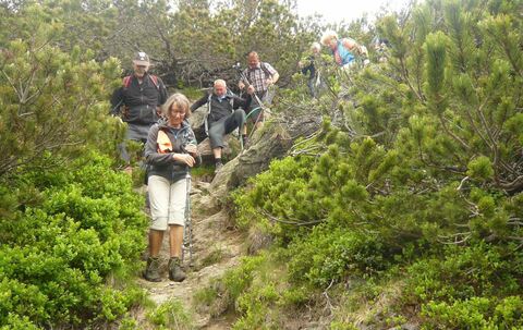 Den Dachstein fest im Blick
