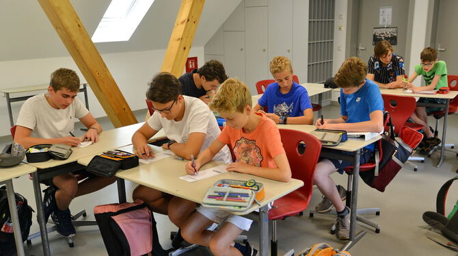 Hochbegabt – die 8a des Uhlandgymnasiums in Tübingen lernt den Unterrichtsstoff in sehr viel kürzerer Zeit.  FOTO: NIETHAMMER
