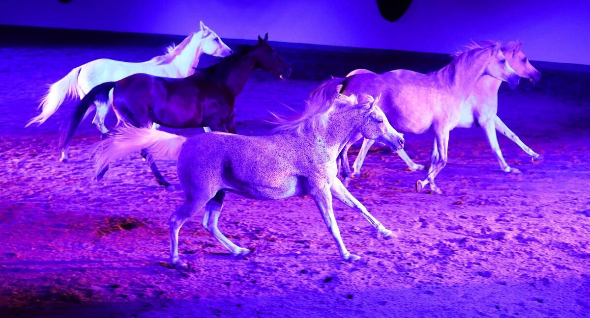 MarbachClassics55 (Groß)