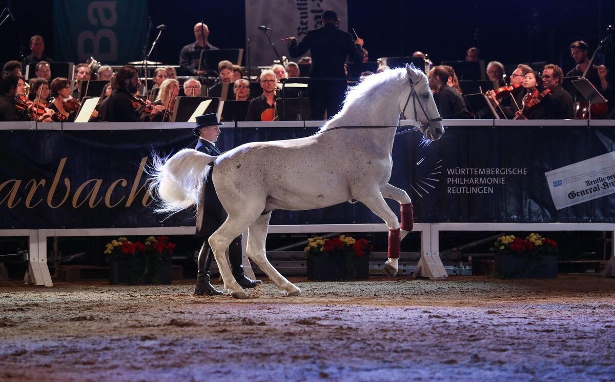 Marbach Classics 217 (Groß)