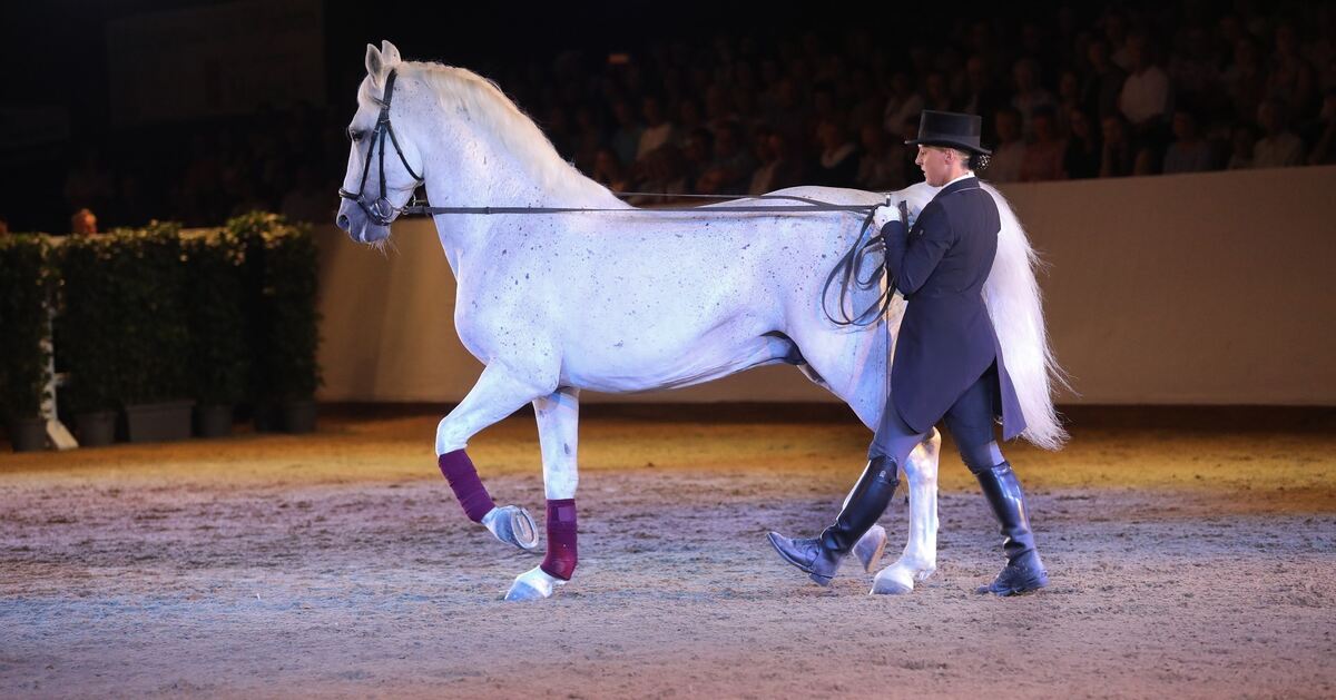 Marbach Classics 218 (Groß)