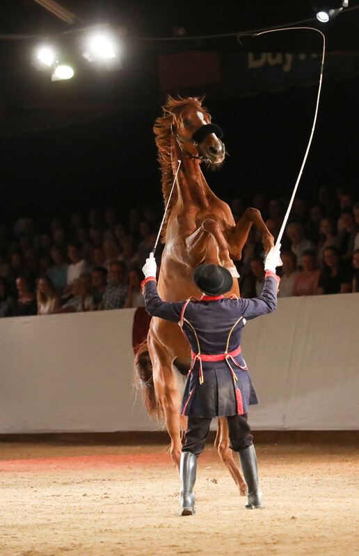 Marbach Classics 220 (Groß)