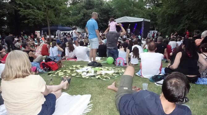 Gechillte Stimmung im Park: Hunderte Besucher kamen zum »Music 4 Humanity«.  FOTO: DÖRR