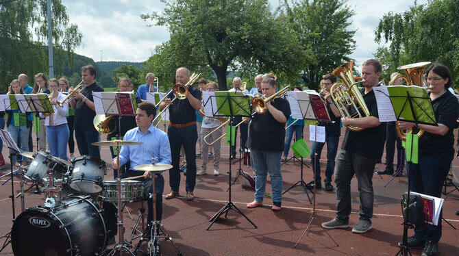 Mehr als 60 Musiker waren in Römerstein-Böhringen voll bei der Sache.  FOTO: SANDER