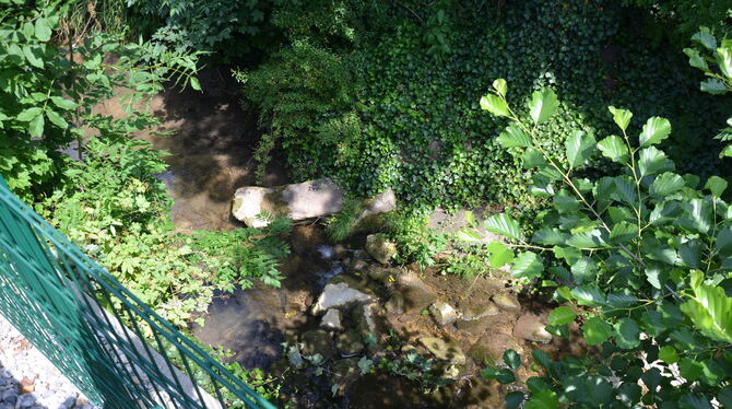 Dieser Zaun neben dem Sitzplatz auf einem privaten Grundstück am Ufer des Eierbachs sollte eigentlich KInder vor dem Absturz ins