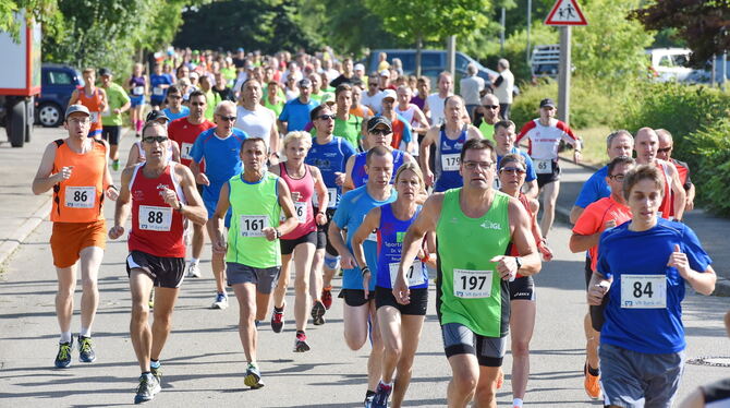 Alle Jahre wieder: Der TSV Kusterdingen lädt zum Hornissenlauf. FOTO: PACHER