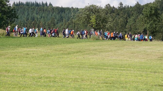104 Menschen mit Durchhaltevermögen legen bei der 24-Stunden-Wanderung 73 Kilometer zu Fuß zurück.Foto: Lenk