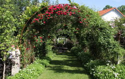 Ein Traum zur Hauptblütezeit: Laubengang mit Rosen und anderen Kletterpflanzen.  FOTOS: FINK
