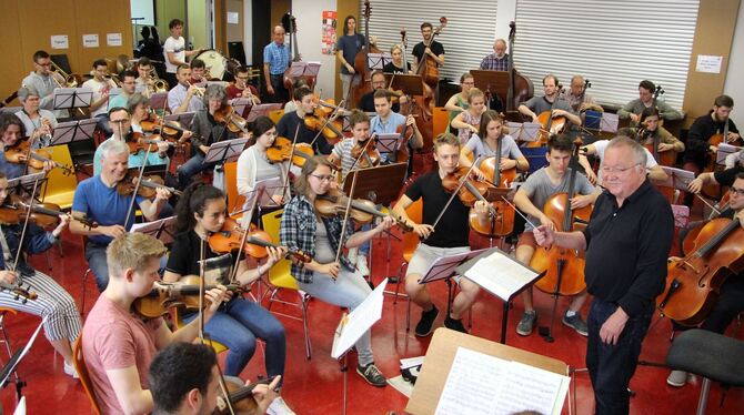 Die Junge Sinfonie bei Proben im Kepler-Gymnasium.  FOTO: PRIVAT
