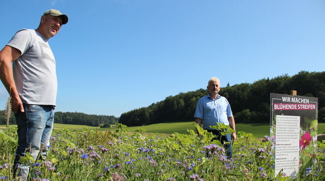 Timo Nau (links) und Gebhard Aierstock auf einer der Blühflächen, die dank des Förderprogramms Fakt immer zahlreicher werden.