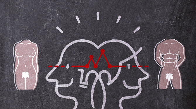 Die spontane Reaktion im Gehirn auf erotische Reize ist bei Männern und Frauen gleich. Bild: Arthofer Die spontane Reaktion im Gehirn auf erotische Reize ist bei Männern und Frauen gleich. Bild: Arthofer