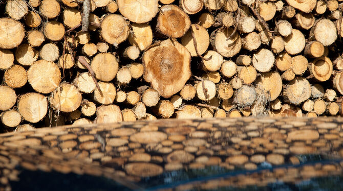 Auch verarbeitete Holzprodukte haben einen positiven Einfluss auf das Klima.Foto: dpa