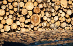 Auch verarbeitete Holzprodukte haben einen positiven Einfluss auf das Klima.Foto: dpa