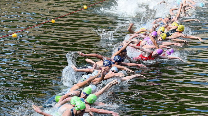 Spektakulär: Wenn die Triathleten durchs Wasser pflügen, wird aus dem Neckar eine »Waschmachine« im Schleudergang. Foto: Pacher